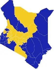 Kenya election vote distribution map